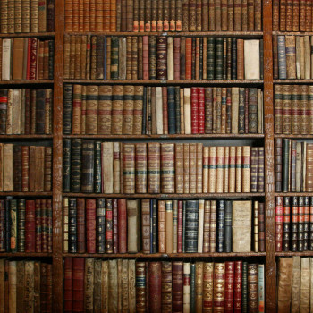 The Bookshelf